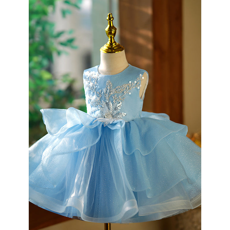 Blue Organza A-Line Flower Girl Dress with Lace & Sequins