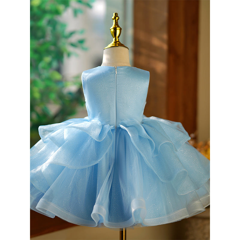 Blue Organza A-Line Flower Girl Dress with Lace & Sequins