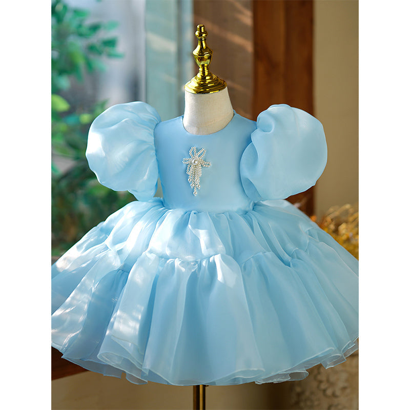 Blue Organza Princess Flower Girl Dress with Beaded Sleeves