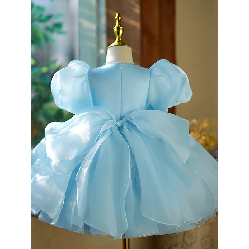 Blue Organza Princess Flower Girl Dress with Beaded Sleeves