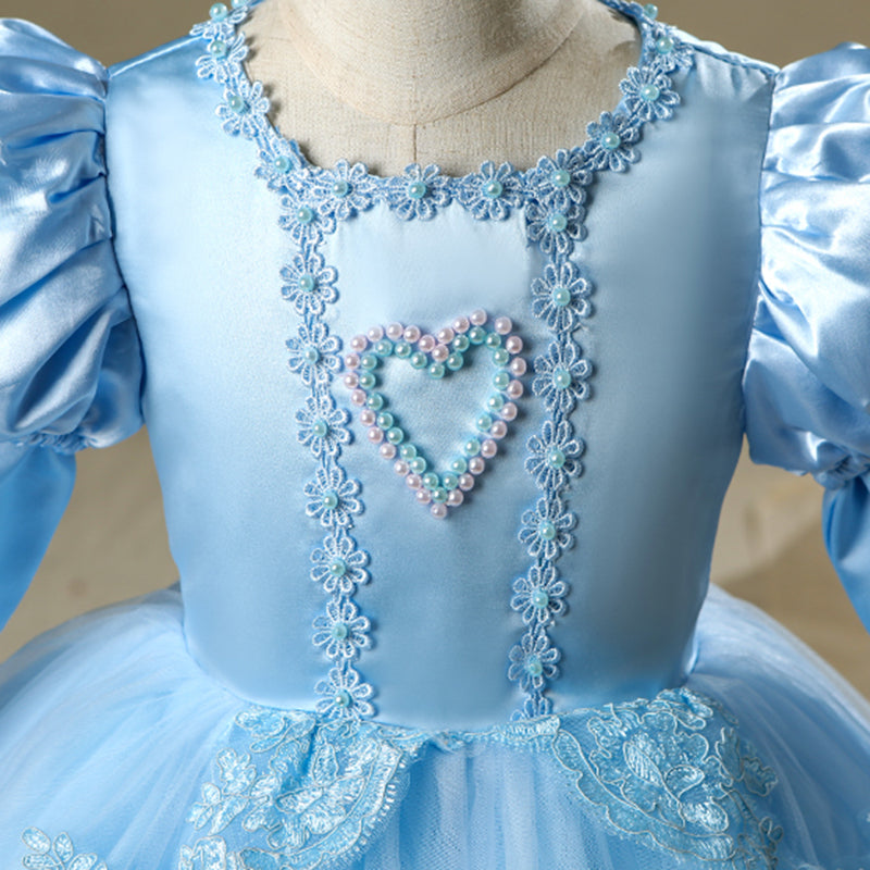 Blue Satin Lace Princess Flower Girl Dress Long Puff Sleeve