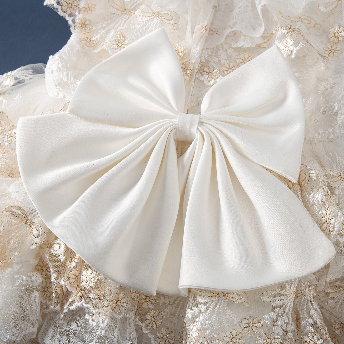 Champagne Princess Flower Girl Dress with Lace and Bow Back