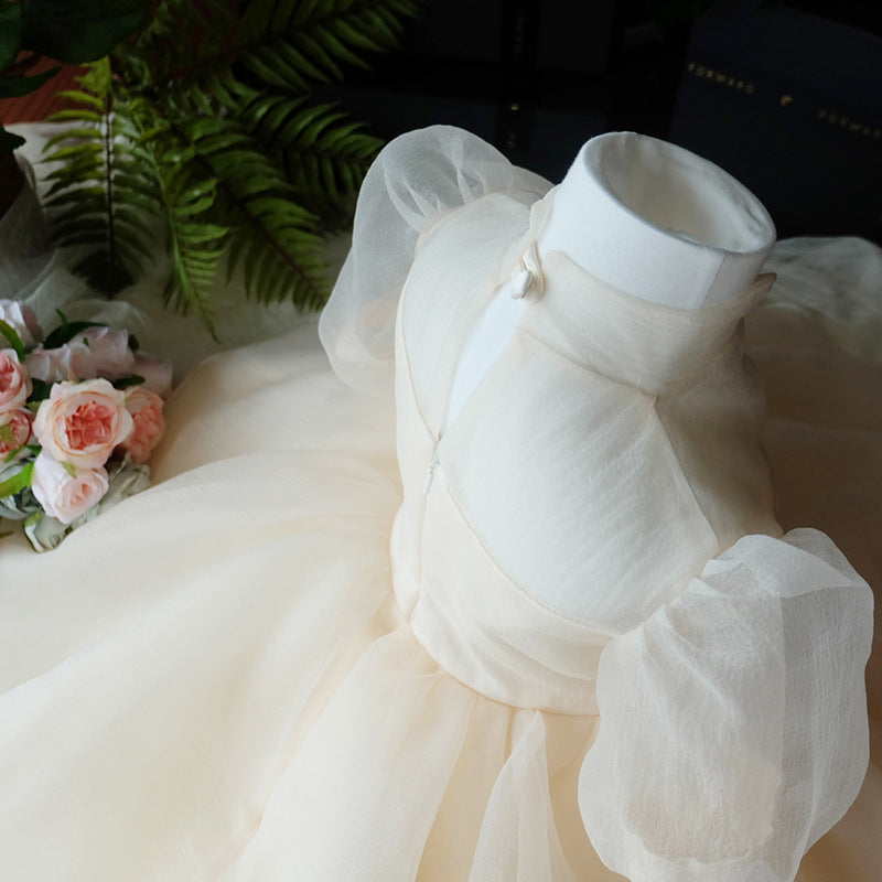 Champagne Princess Organza Flower Girl Dress with Ruffles