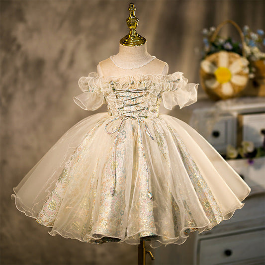 Colorful Floral Princess Flower Girl Dress with Lace & Ruffles