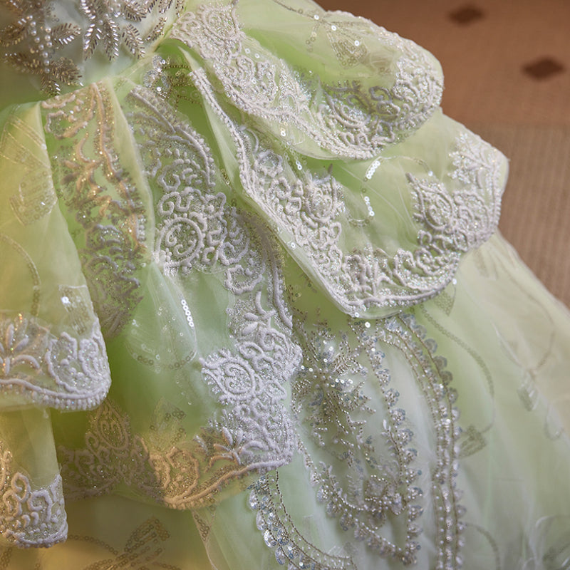 Light Green Princess Sequin Beaded Long Sleeve Dress for Girls (3-12 Years)