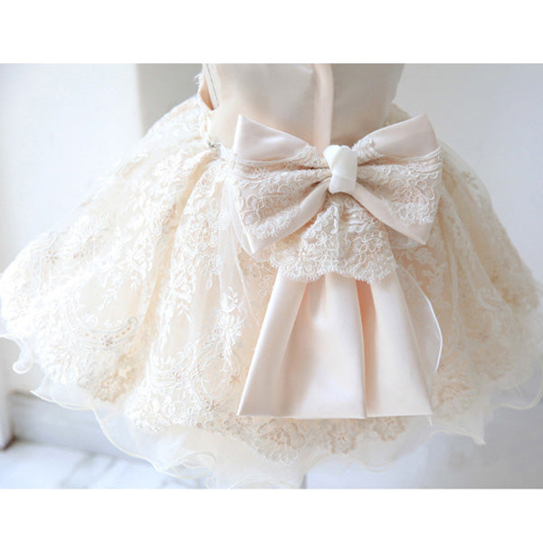 Princess Lace Flower Girl Dress with Bow Embellishments