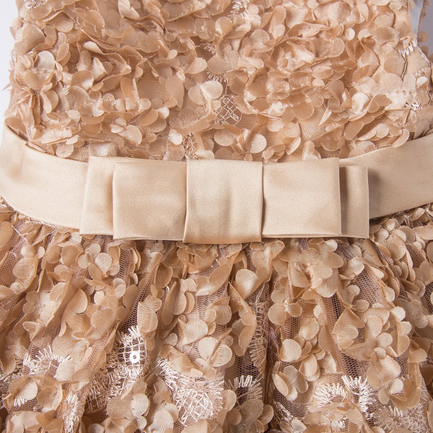 Princess Lace Flower Girl Dress with Flower Embellishments