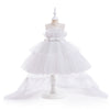 Baby Ball Gown Tulle Dress with Illusion Neckline