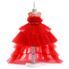 Baby Ball Gown Tulle Dress with Illusion Neckline