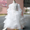 Ball Gown Illusion Neck Long Sleeve Tiered Tulle Dress for Girls