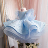 Blue Ball Gown Flower Girl Dress with Sequins and Fringe