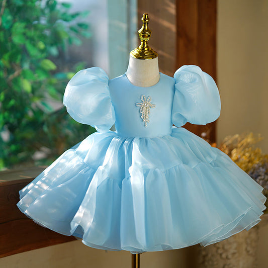 Blue Organza Princess Flower Girl Dress with Beaded Sleeves