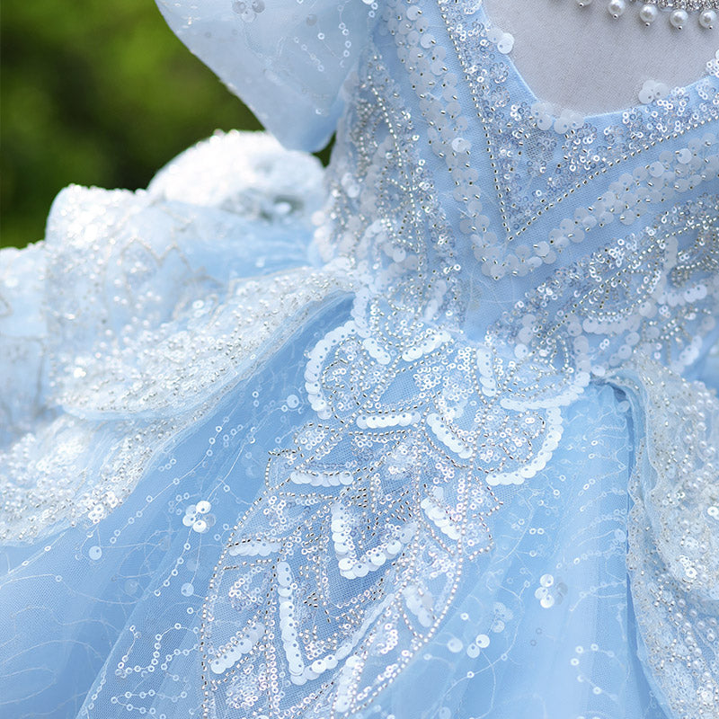 Blue Princess Flower Girl Dress - Lace & Tulle Ruffle Sleeve Dress