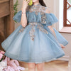 Blue Tulle Ball Gown Sleeveless Flower Girl Dress with Sequins