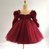 Burgundy A-Line Flower Girl Dress with Velvet and Tulle