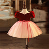 Burgundy Velvet Tulle Princess Flower Girl Dress Puff Sleeve