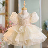 Champagne Flower Girl Dress with Lace and Puff Sleeves
