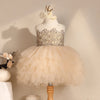 Champagne Lace Princess Tea-Length Flower Girl Dress