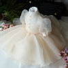 Champagne Princess Organza Flower Girl Dress with Ruffles