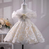 Elegant Champagne Lace Flower Girl Dress for Toddlers