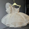Ivory One Shoulder Sequin Tulle Flower Girl Dress