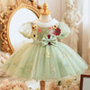 Light Green Princess Tulle Dress with Lace and Flowers for Girls