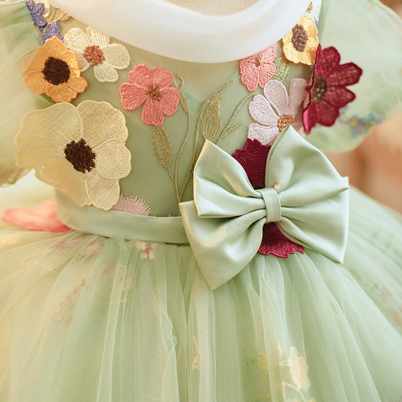 Light Green Princess Tulle Dress with Lace & Floral Details for Girls