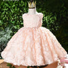 Pink Lace Princess Flower Girl Dress with Ruffle Detail