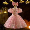 Pink Sequined Flower Girl Ball Gown Dress for Baby Girls