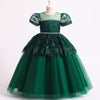 Princess Floor-Length Lace Flower Girl Dress with Puff Sleeves