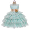 Princess Flower Girl Dress with Lace and Floral Embellishments