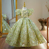 Sage Green Sequin Princess Flower Girl Dress V-Neck Puff