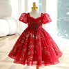 Sequin Princess Flower Girl Dress Lace Flower V-Neck Puff Tea