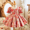 Sweet Embroidered Ball Gown for Baby Girls
