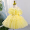 Tulle A-Line Flower Girl Dress with Pleated Skirt
