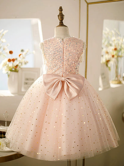 A-line Pink Tulle Back Zip Baptism Sequins Tea Length Sleeveless Round Flower Girl Dress